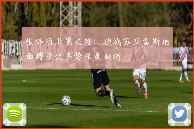 张伟丽卫冕之路：迎战苏亚雷斯地面搏杀优劣势深度剖析