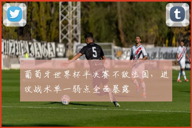 葡萄牙世界杯半决赛不敌法国，进攻战术单一弱点全面暴露