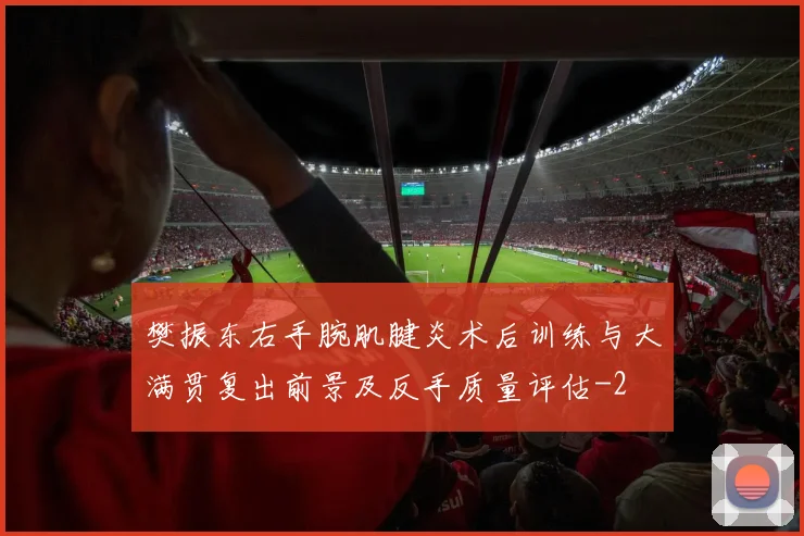 樊振东右手腕肌腱炎术后训练与大满贯复出前景及反手质量评估