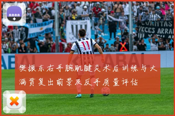樊振东右手腕肌腱炎术后训练与大满贯复出前景及反手质量评估