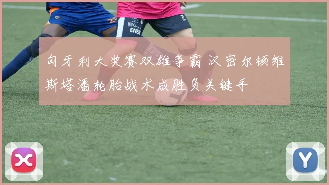 匈牙利大奖赛双雄争霸 汉密尔顿维斯塔潘轮胎战术成胜负关键手