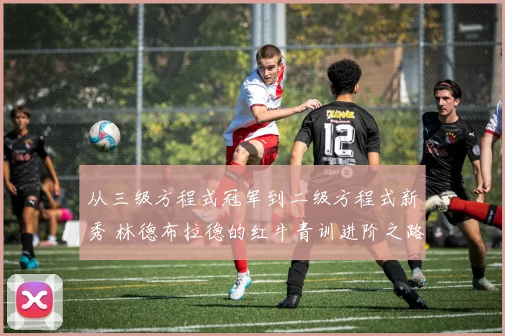 从三级方程式冠军到二级方程式新秀 林德布拉德的红牛青训进阶之路
